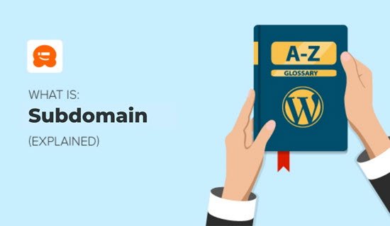 What is Subdomain