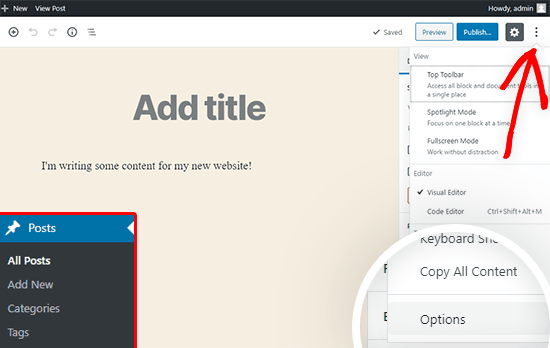 WordPress options menu in post edit screen